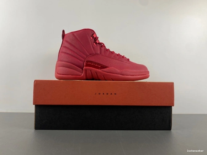 Reps LUCY 12 130690-601 Retro Gym Air (2018) Jordan Red 0701
